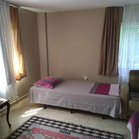 Ayse Hanim 3 *